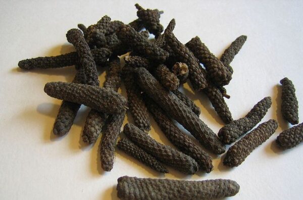 Pipalli - piper longum - entire - 50 gm