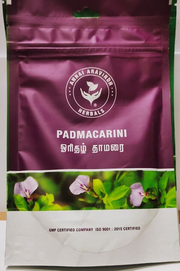 Orithazhthamarai Poudre / Padmacarini - ARA - Hybanthusenneaspermus - 50 G