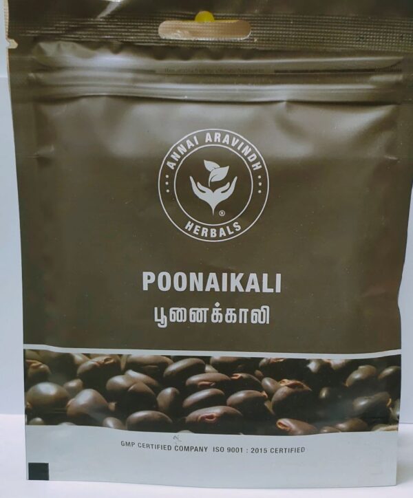 Poonaikkali Seed Poudre / kapikachu / Atmagupta - ARA - Mucunapruriens - 50 G