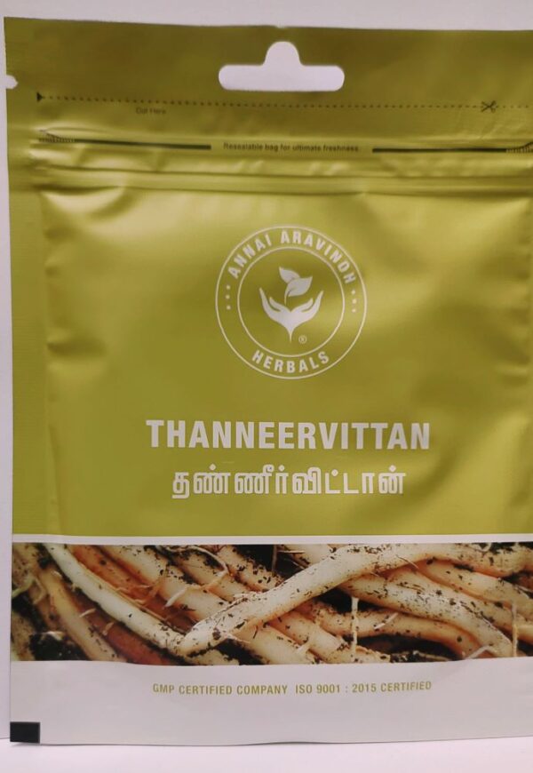 Shatavari - Thanneervittan Poudre - ARA - Asparagus racemosus - 50 G
